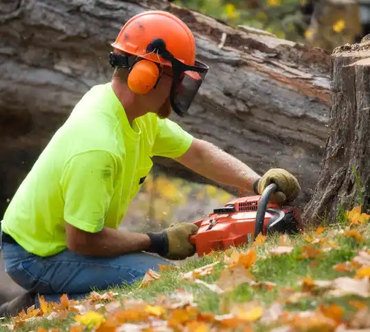 tree services Wantagh